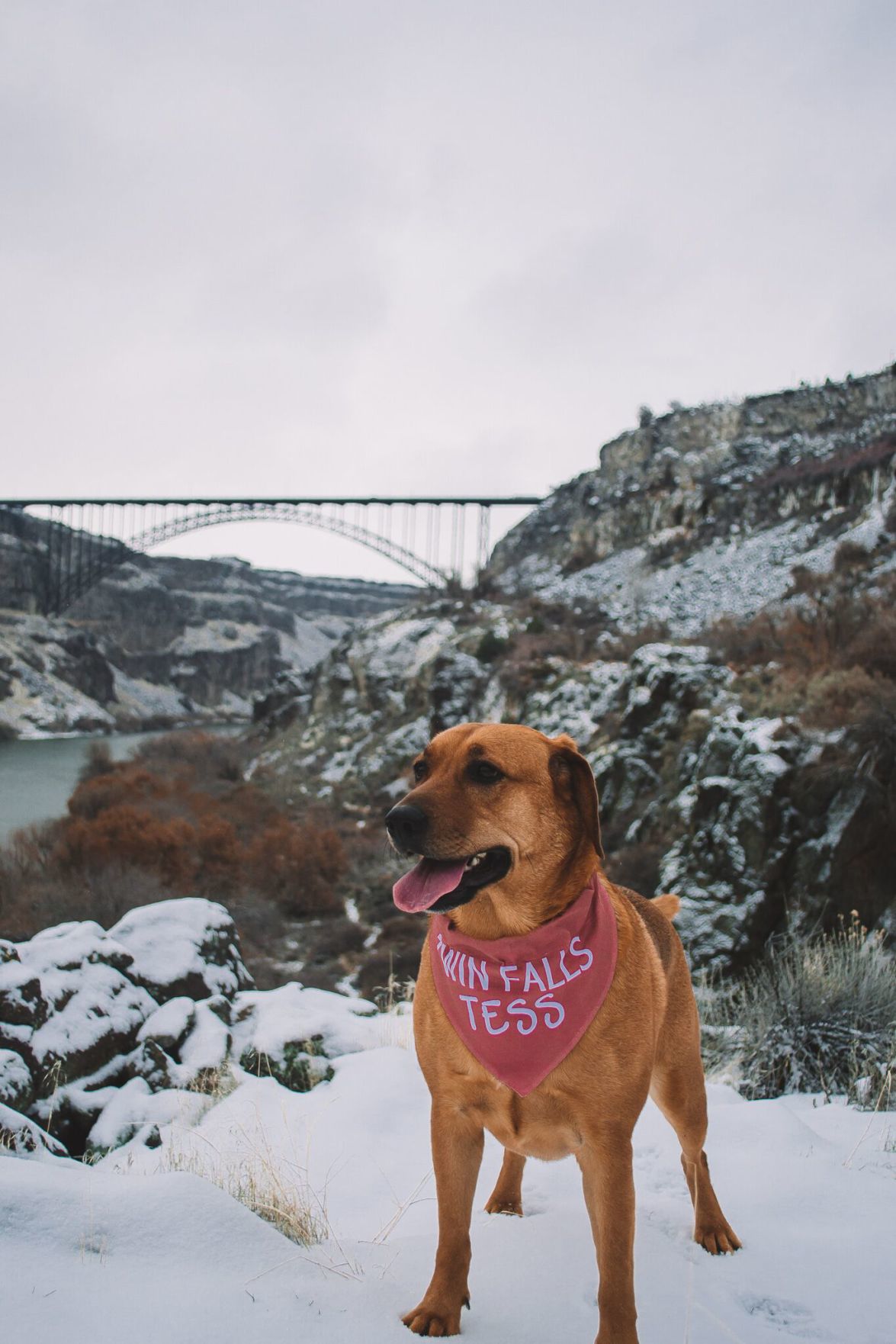 Twin Falls Tess and I.B. Perrine Bridge